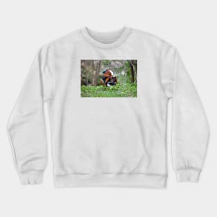 Mandarin duck / Swiss Artwork Photography Crewneck Sweatshirt